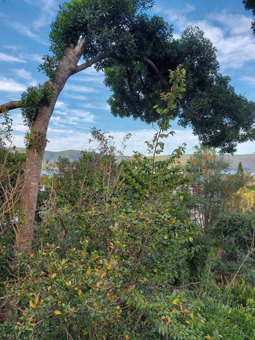 0 Bedroom Property for Sale in Paradise Western Cape